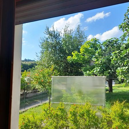 Camping Agriturist Sant'Anna Castelplanio Номер фото