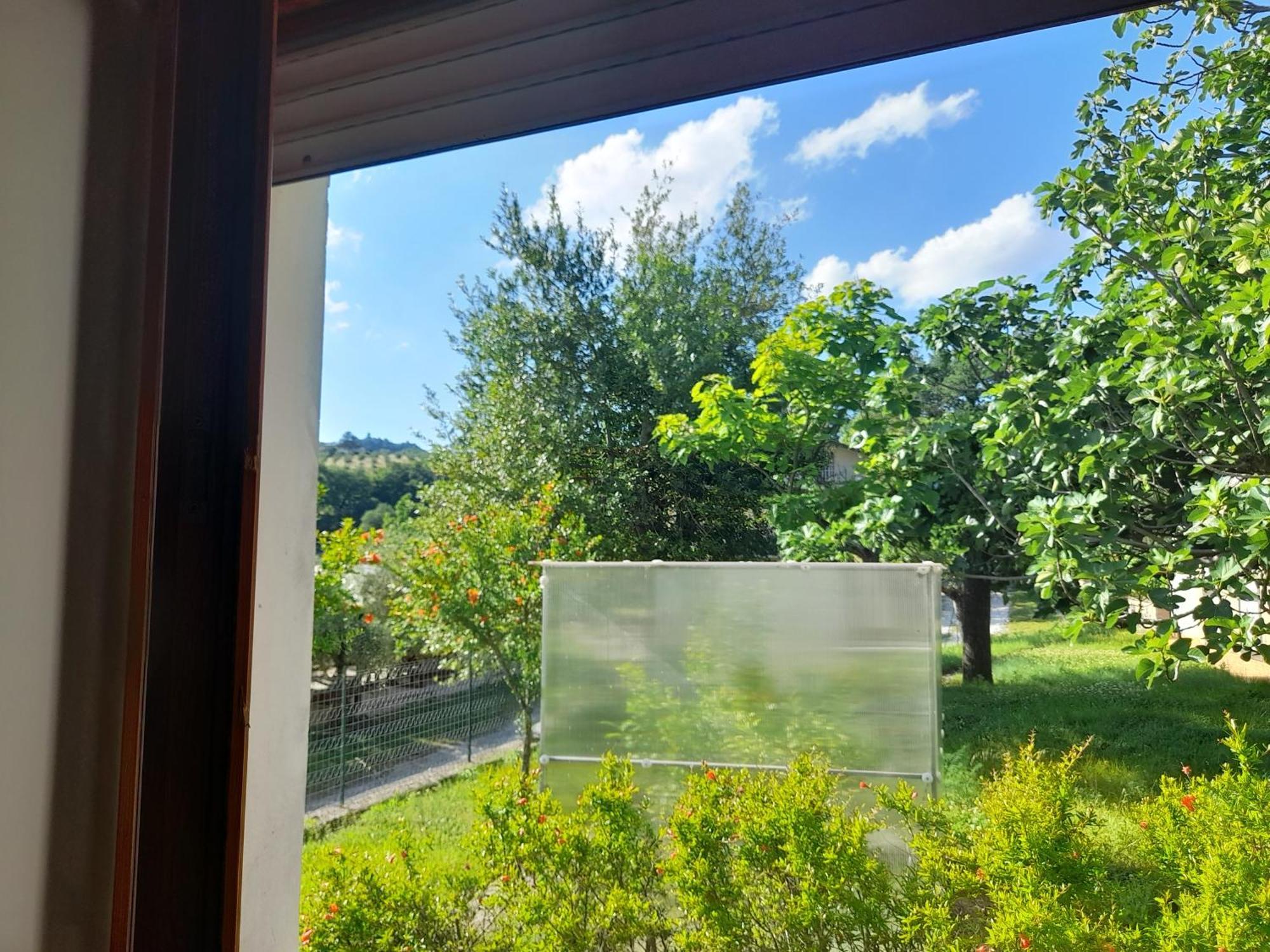 Camping Agriturist Sant'Anna Castelplanio Номер фото