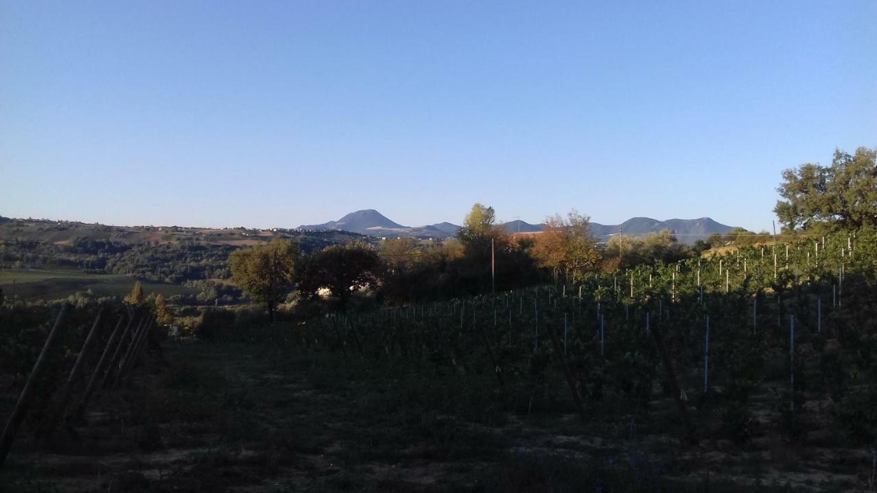 Camping Agriturist Sant'Anna Castelplanio Экстерьер фото